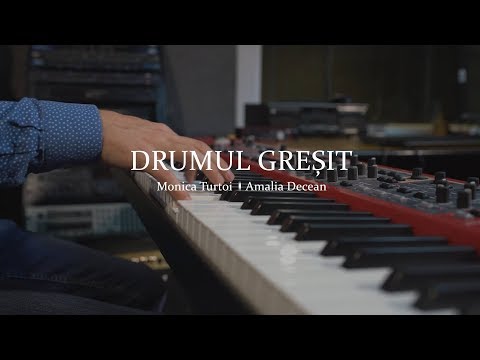 Drumul gresit     - Monica Turtoi & Amalia Decean