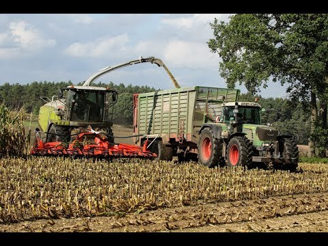 Mais Ernte 2019: Claas Jaguar 950 I Fendt Vario 930 TMS I John Deere 6210R