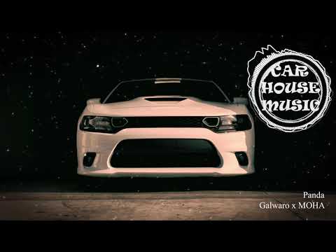 Galwaro x MOHA - Panda