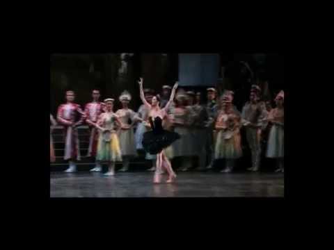 ROBERTO BOLLE and Polina Semionova ~Swan Lake