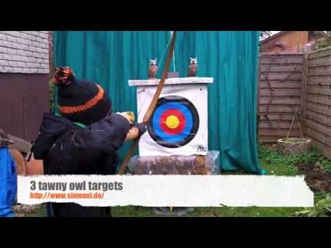 Traditionell Bogenschießen - 3 Waldkäuze - tawny owl archery