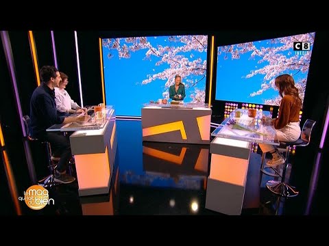 Le mag qui fait du bien ( Lithothérapie : Le pouvoir des cristaux et des couleurs ! ) - 16/04/2023