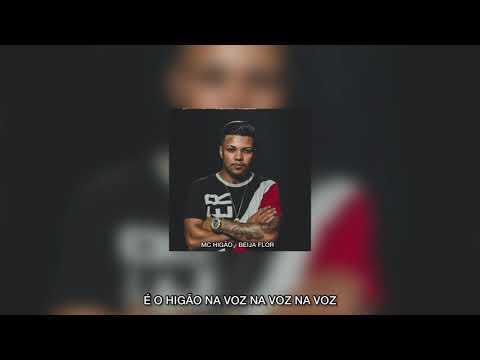 MC Higão - Beija Flor (DJ DaOoeste) TIKTOK