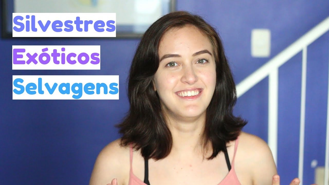 DIFERENÇAS ENTRE ANIMAIS SILVESTRES, EXÓTICOS E SELVAGENS | Julia Maciel