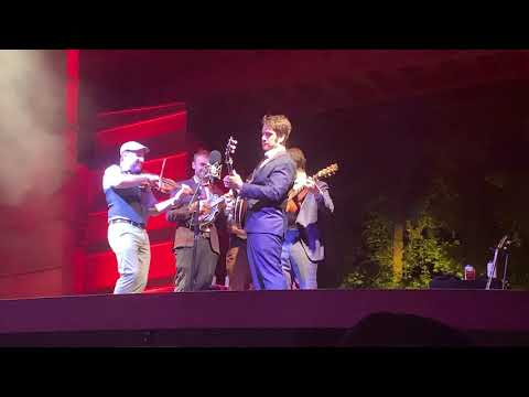 Punch Brothers: Gold Rush