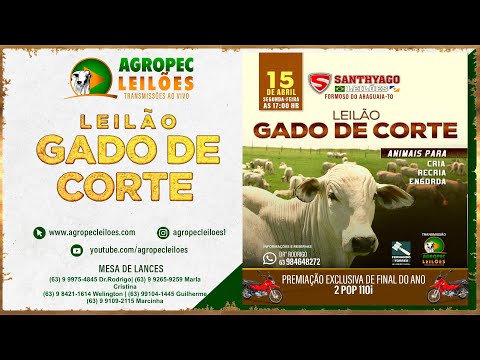 Agropecleiloes.com - LEILÃO GADO DE CORTE  | SANTHYAGO LEILÕES - FORMOSO DO ARAGUAIA-TO| 15/04/2024