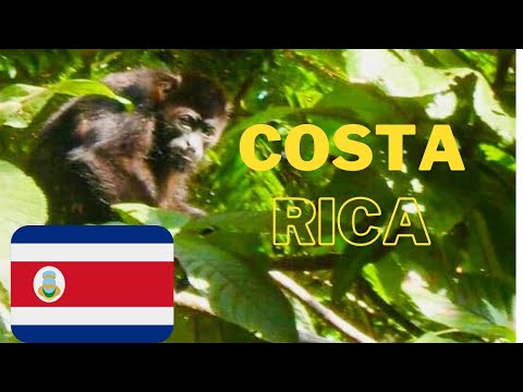 Illinois State University Biology, Tropical Rainforest Ecology, Research Field Trip to Costa Rica