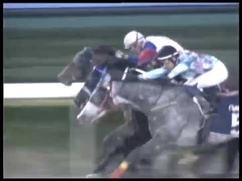 Macau Meeting Race 5(0143) - THE STOKE