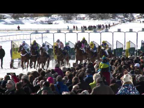 White Turf Race 2014 in St. Moritz