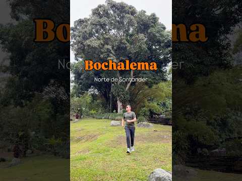 Como es Bochalema ? #bochalema #nortedesantander #colombia