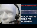 Poly Blackwire 3325 vs Jabra Evolve 30 II - Competitive Study