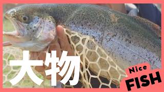 大型虹鱒がウヨウヨ泳いでいる釣り場に行ったら、大会当日だったので飛び入り参加しちゃった【エリアトラウト】【管理釣り場】【那須白河フォレストスプリングス】