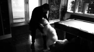 The Crookes - It&#39;s Just Not Christmas Without You