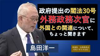 【ライブラリ 字幕】島田洋一712人ギリ　政府からの閣法について外務政務官に外交関係への影響を質問　日本保守党　島田洋一　衆議院　法務委員会　思い出の第217回国会　2026/4/18