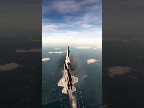 F-35 hunts down Su-57 Felon | DCS