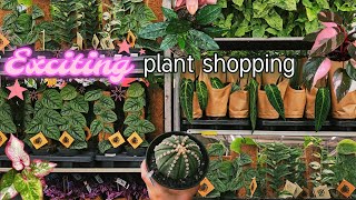 You wont believe prices for these amazing plants I found while plant shopping 🍀👀✨
