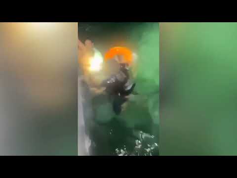 Fisherman Rescued at Sea in Dramatic Operation Involving Community and Coast Guard PT 1