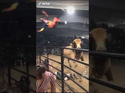 el toro que tira a los humanos jajaja
