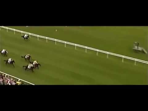 Tosca Dead Heats for Win in BBAG Auktionsrennen Baden Baden, Germany