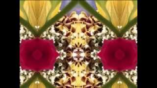 trampled rose (by Robert Plant &amp; Alison Krauss live in Maryland 2008)