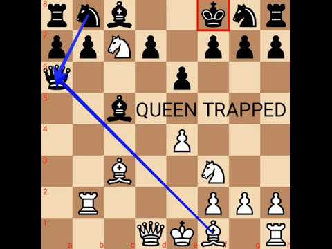 Chess Opening: Sicilian Defence | Amazing Queen Trap | Chess Trap | Blitz Game | ft. Vijay Joshi
