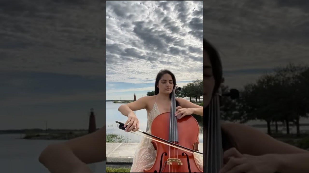 Promotional video thumbnail 1 for Lorena Cellist