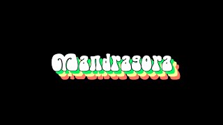 Mandrake Handshake - Mandragora video