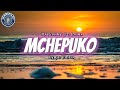 Rayvanny Ft Phina Mchepuko Lyric Video