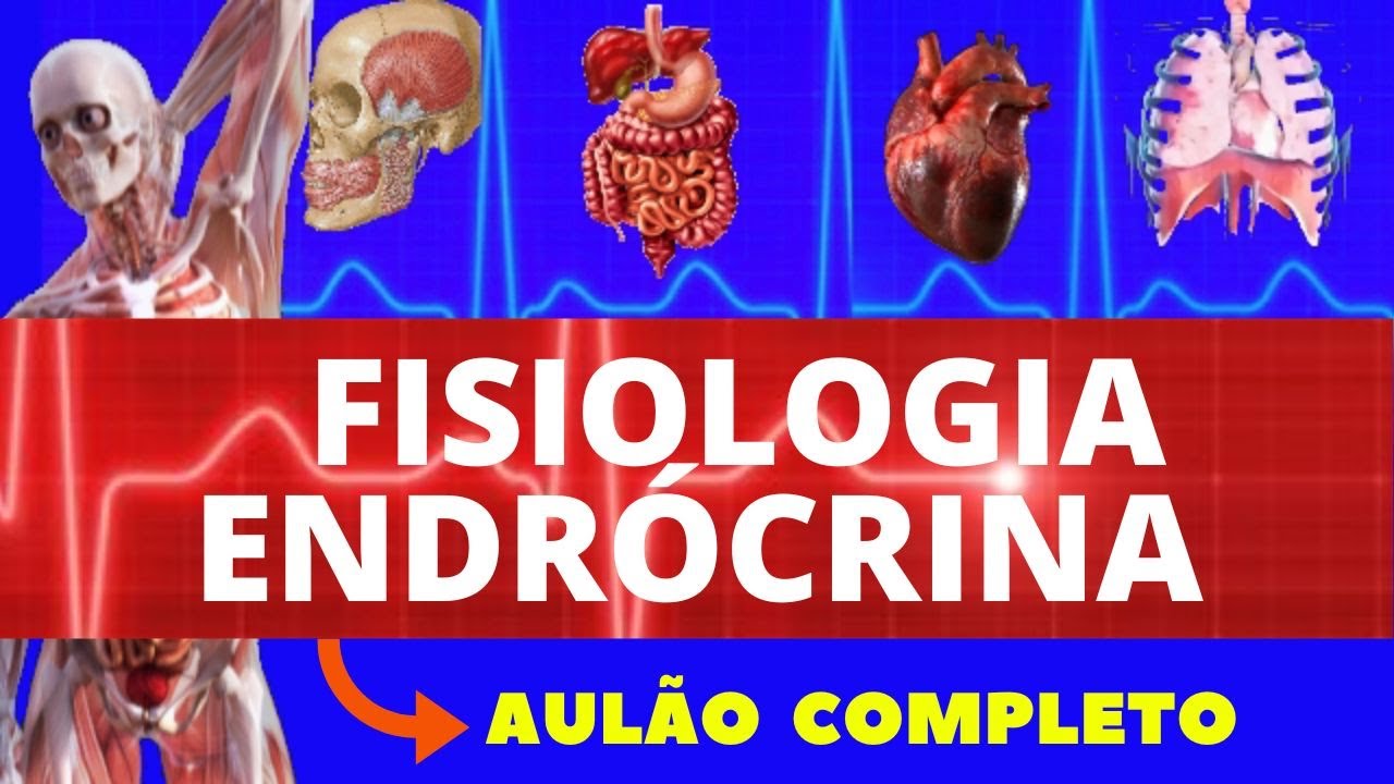 FISIOLOGIA DO SISTEMA ENDÓCRINO (FISIOLOGIA DE GUYTON) - FISIOLOGIA ENDÓCRINA - FISIOLOGIA HUMANA