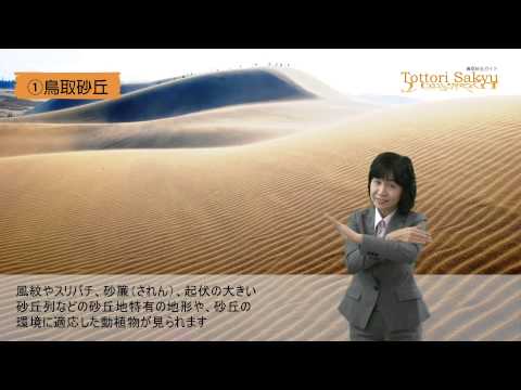 ビデオゲームにおける砂丘 - 定義