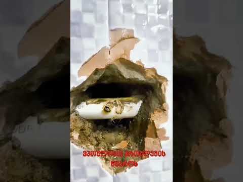 ვიდეო: წყლის ჟონვის დიაგნოსტიკა