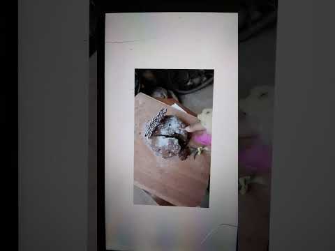 Happy birthday kanmani