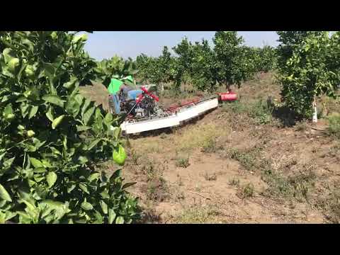 Video 7