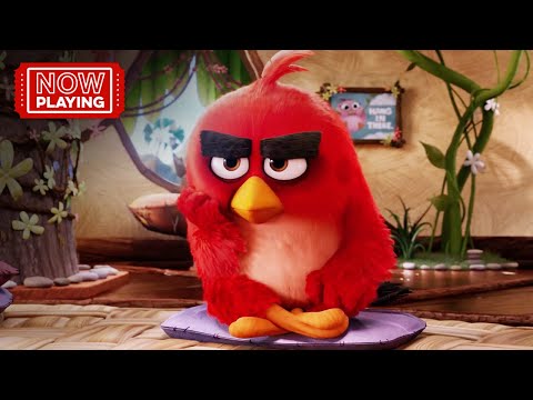 The Angry Birds Movie | Anger Management