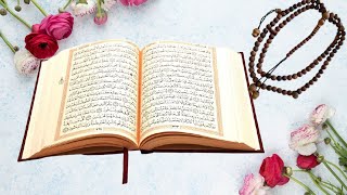Download lagu Best Relaxing Quran Tilawat Surah An-Naba (78) Qori Abdullah Al-Khalaf #RelaxingQuran mp3 Download lagu Best Relaxing Quran Tilawat Surah An-Naba (78) Qori Abdullah Al-Khalaf #RelaxingQuran mp3
