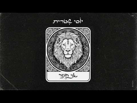 יוסי שיטרית - אני חוזר