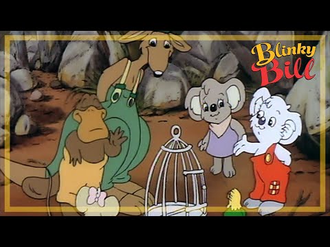 Blinky Rescues the Budgie - Episode 3 - The Adventures of Blinky Bill