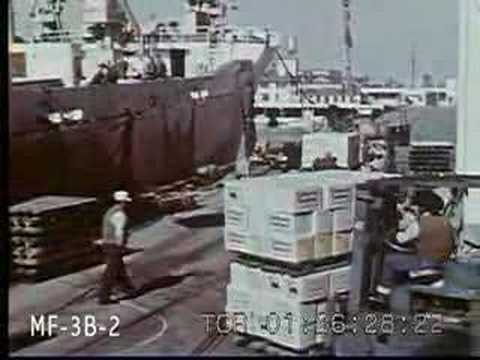 Citrus, The Golden Fruit 1950s Pt 2