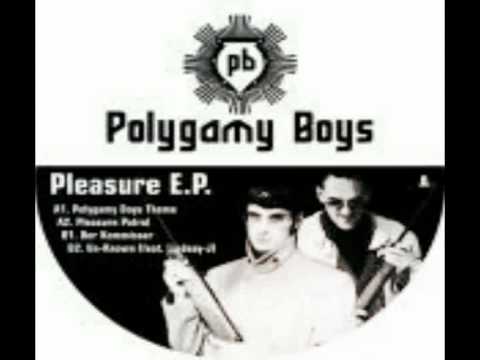Polygamy Boys - Der Kommissar (Pleasure EP)