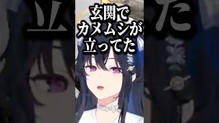 玄関でカメムシと戦った話をする一ノ瀬うるはw【一ノ瀬うるは/ぶいすぽ/切り抜き】#shorts #ぶいすぽ #切り抜き #ぶいすぽ切り抜き #一ノ瀬うるは