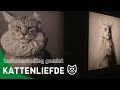 Kattenliefde in Kunsthal Rotterdam
