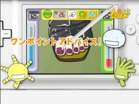 もやしもんDS
