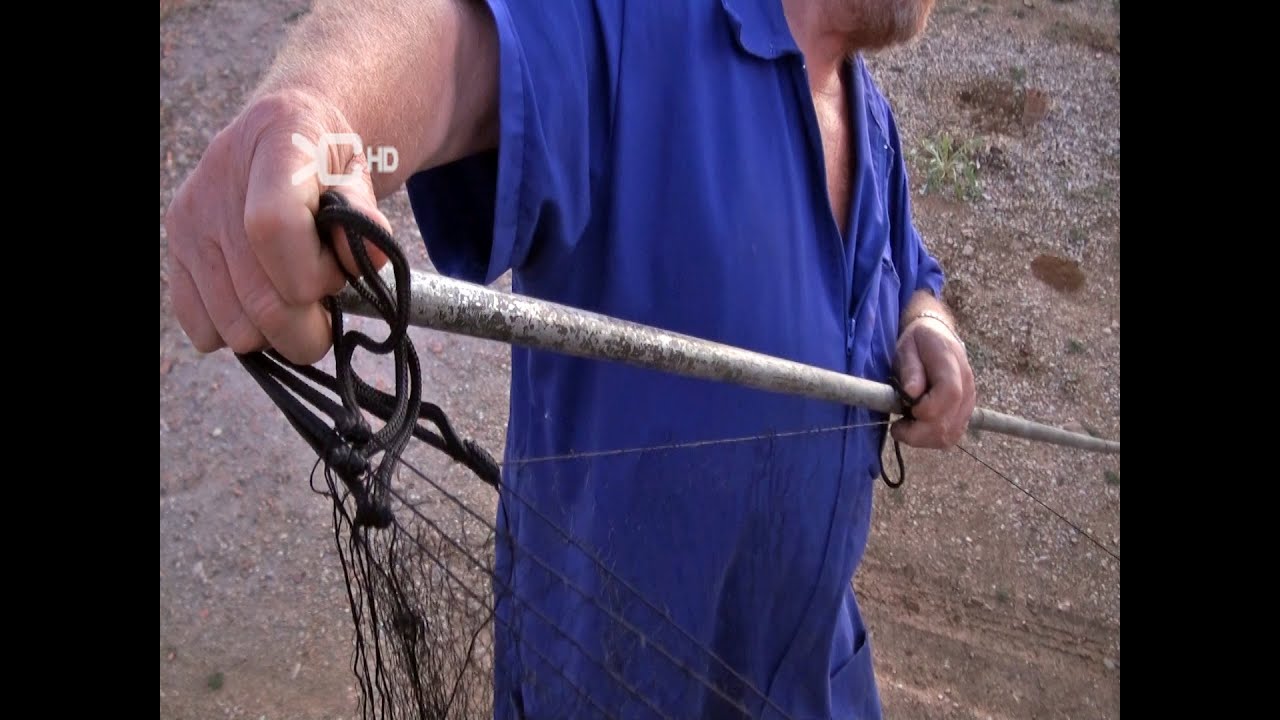 Watch La red invisible de caza y todos sus secretos Now La red invisible de caza y todos sus secretos