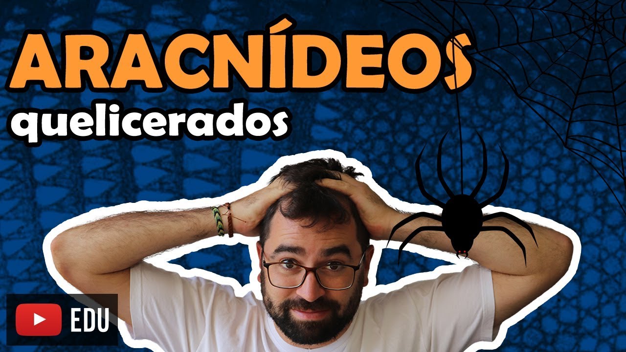 Aracnídeos - Quelicerados (Artrópodes: Parte 3) - Aula 22 - Módulo VI: Zoologia | Prof. Guilherme