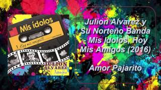 Amor Pajarito Lyrics English Translation