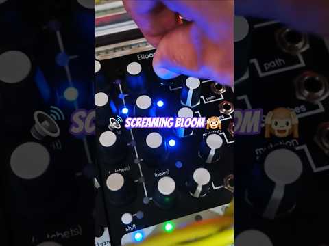 Eurorack "SCREAMING BLOOM" feat. QU-Bit Bloom & Joranalogue Contour 1 #synth #electronicmusic #sound