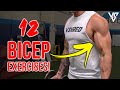 12 Best Bicep Exercises for Bigger Arms