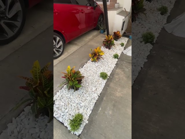 Vídeo relacionado con Grava Blanca 1,8kg - Piedras Decorativas - Grava Acuario - Piedras Decorativas para Jarrones - Piedras Acuario y Peceras - Piedras para Macetas - Grava Jardin (9-12 mm)