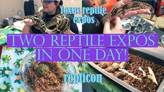 TWO REPTILE EXPOS IN ONE DAY! | Reptile Expo Vlog