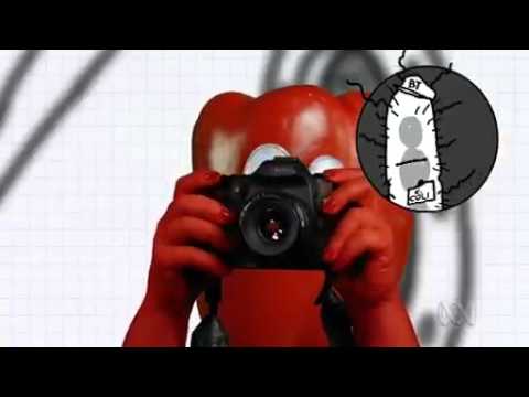 ABC Catalyst S12E12 Factoid Gastro Facts